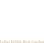 頁尾Logo